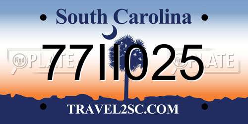 77II025 South Carolina License Plate