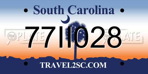77II028 South Carolina License Plate
