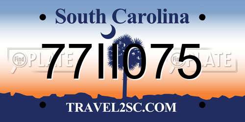 77II075 South Carolina License Plate