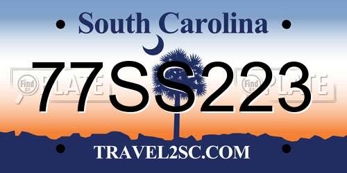77SS223 South Carolina License Plate