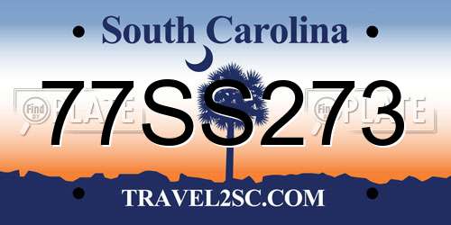 77SS273 South Carolina License Plate