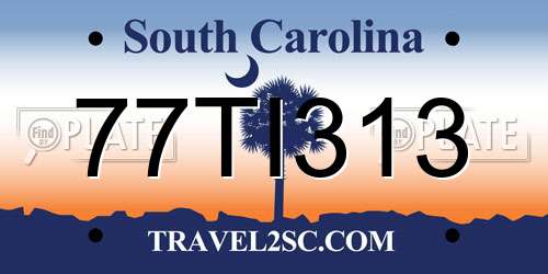 77TI313 South Carolina License Plate