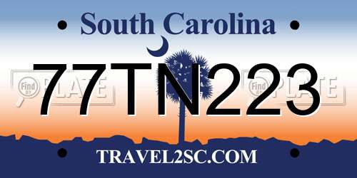 77TN223 South Carolina License Plate