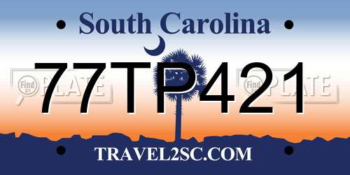 77TP421 South Carolina License Plate