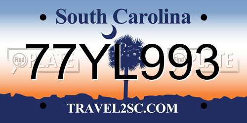 77YL993 South Carolina License Plate