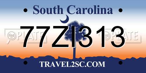 77ZI313 South Carolina License Plate