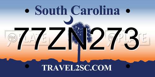 77ZN273 South Carolina License Plate
