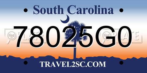 78025G0 South Carolina License Plate