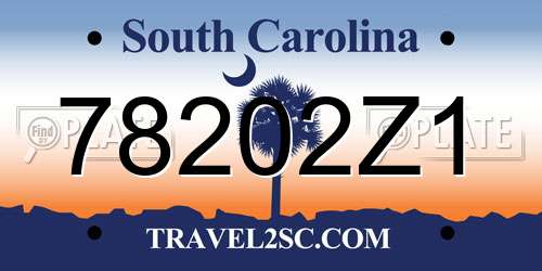 78202Z1 South Carolina License Plate
