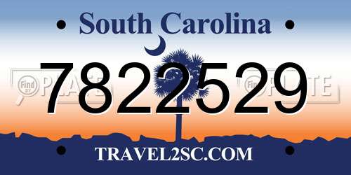 7822529 South Carolina License Plate