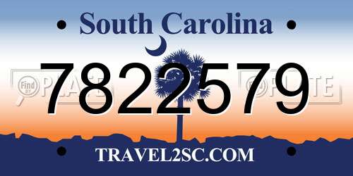 7822579 South Carolina License Plate