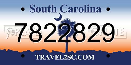 7822829 South Carolina License Plate