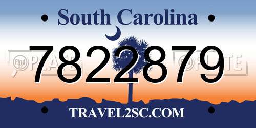 7822879 South Carolina License Plate