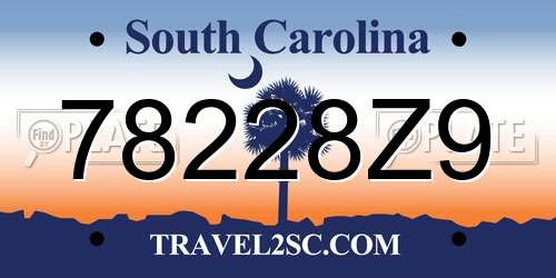 78228Z9 South Carolina License Plate