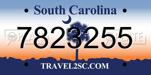 7823255 South Carolina License Plate