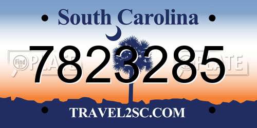 7823285 South Carolina License Plate
