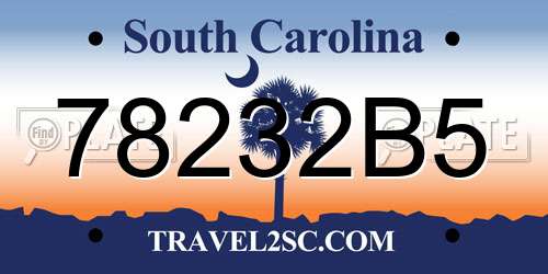 78232B5 South Carolina License Plate