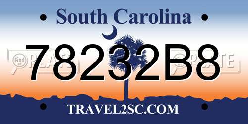 78232B8 South Carolina License Plate