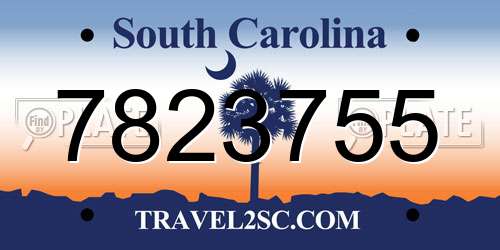 7823755 South Carolina License Plate