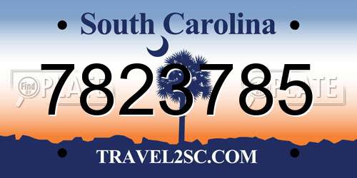 7823785 South Carolina License Plate