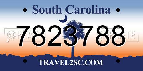 7823788 South Carolina License Plate