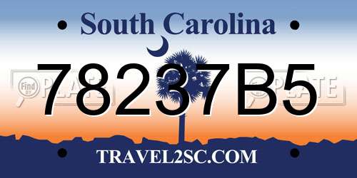 78237B5 South Carolina License Plate