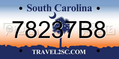 78237B8 South Carolina License Plate