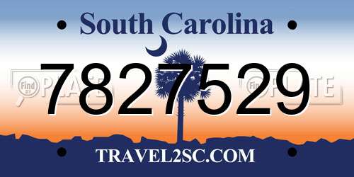7827529 South Carolina License Plate