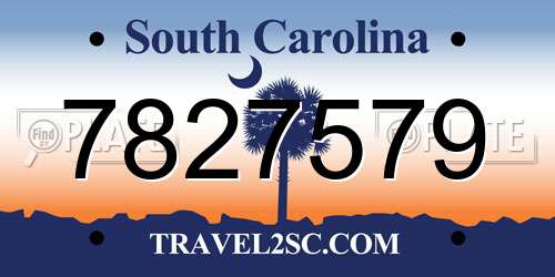 7827579 South Carolina License Plate