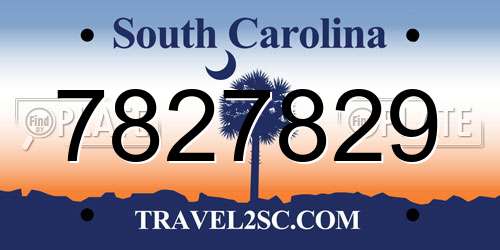 7827829 South Carolina License Plate