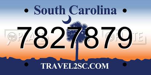 7827879 South Carolina License Plate