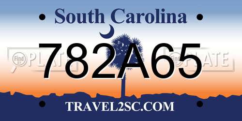 782A65 South Carolina License Plate