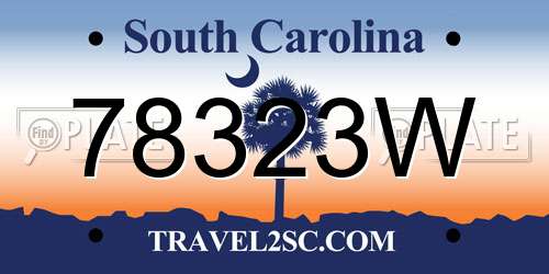 78323W South Carolina License Plate