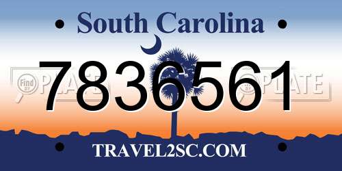 7836561 South Carolina License Plate