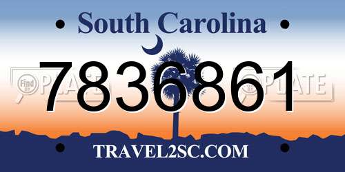 7836861 South Carolina License Plate