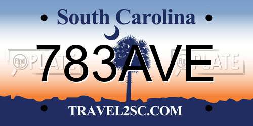 783AVE South Carolina License Plate