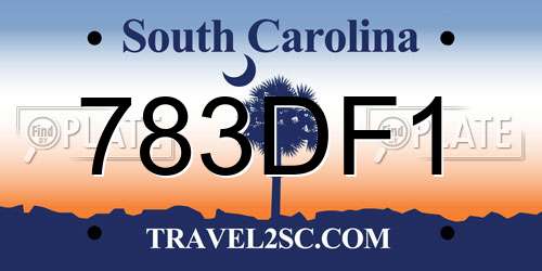 783DF1 South Carolina License Plate