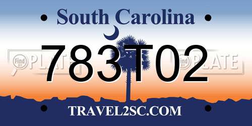 783T02 South Carolina License Plate