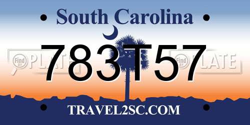 783T57 South Carolina License Plate