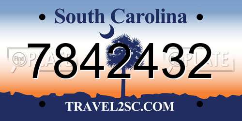 7842432 South Carolina License Plate
