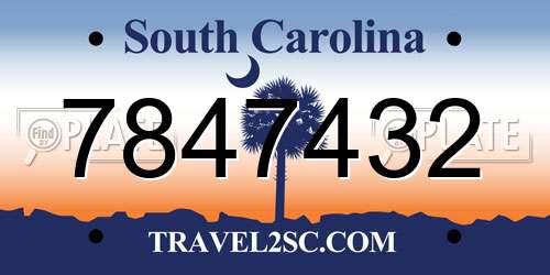7847432 South Carolina License Plate