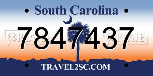 7847437 South Carolina License Plate
