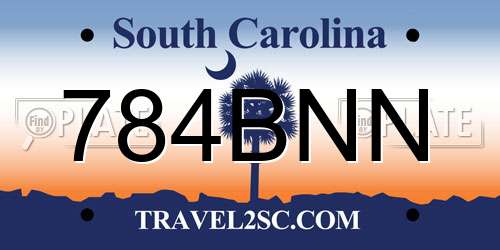 784BNN South Carolina License Plate