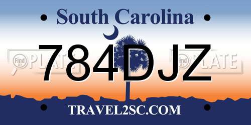 784DJZ South Carolina License Plate