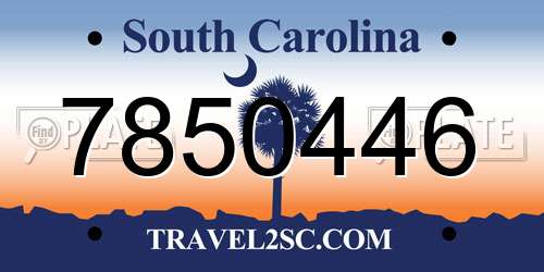 7850446 South Carolina License Plate