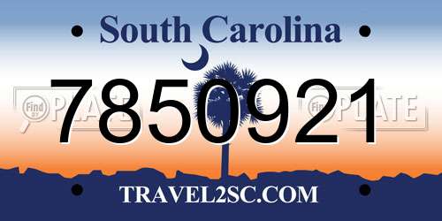 7850921 South Carolina License Plate