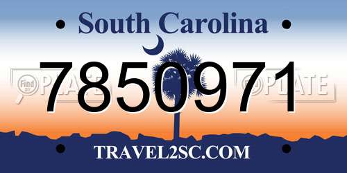 7850971 South Carolina License Plate