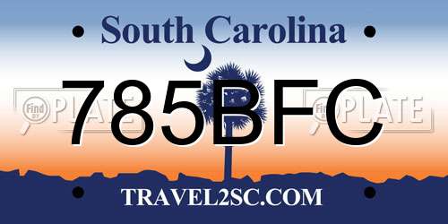 785BFC South Carolina License Plate