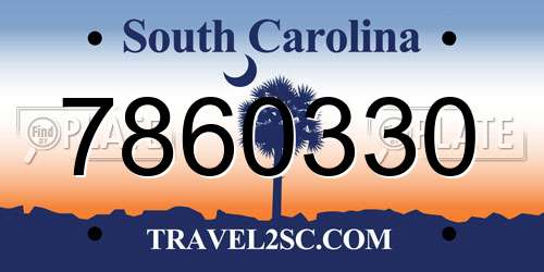7860330 South Carolina License Plate
