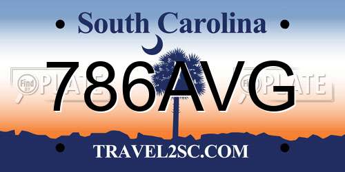 786AVG South Carolina License Plate